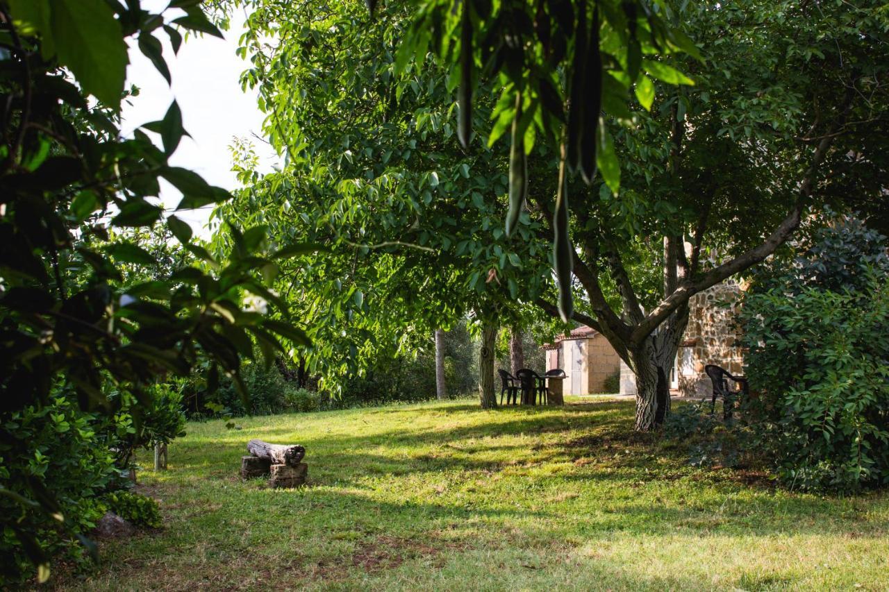 Podere Le Chiuse Sovana Zewnętrze zdjęcie